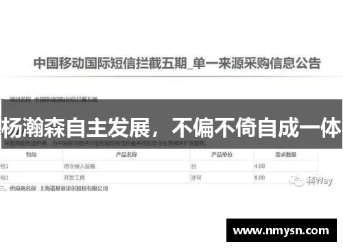 杨瀚森自主发展，不偏不倚自成一体